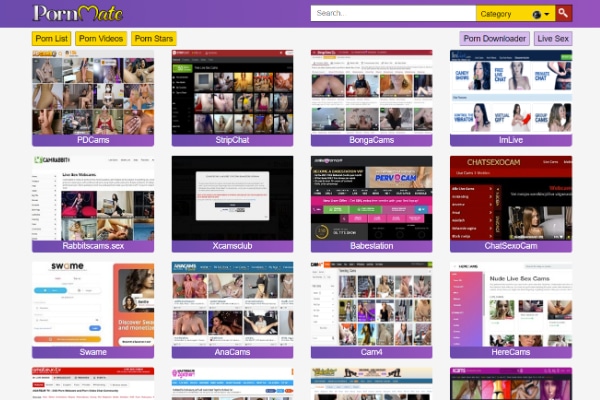 PornMate's Got the Cams You Want